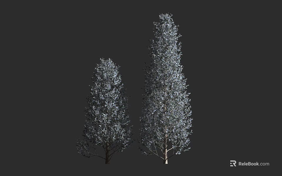 3D Model Arbor Trees With Tall And Short Trunks And Green Foliage On Gray Background 3d model 