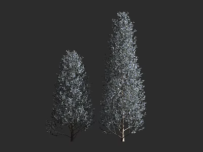 3D Model Arbor Trees With Tall And Short Trunks And Green Foliage On Gray Background 3d model