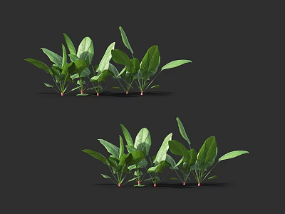 Fresh Green Spinach Plants With Lush Leaves And Healthy Stems On Dark Background 3d model