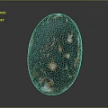 Stone Original Stone Jade Stone Appreciation Stone Strange Stone Next Generation Item 3 Print 3d model