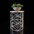 Stylish Potted Plants With Green Ferns Trailing Vines Gray Pots And Geometric Metal Stands
