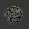 Green Spiky Cactus Plant in Red Terracotta Pot with White Thorns