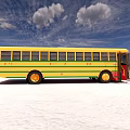 Bus School Bus 3d model