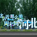 Weekend Trip To Hebei With Scenic Green Trees And Leisure Walk Experience