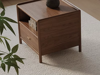 Minimalist Modern Wooden Nightstand With Drawer And Green Plant On Soft Rug 3d model