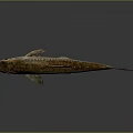 Brown Scaled Fish With Black Eyes Fins And Tail On Gray Background With Reflection Below