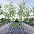 Park Landscape With Lush Green Trees Paved Walkway and Neat Green Belts Under Clear Sky