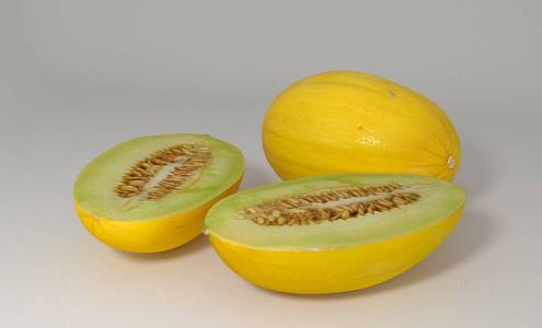 Modern Hami Melon 3d model