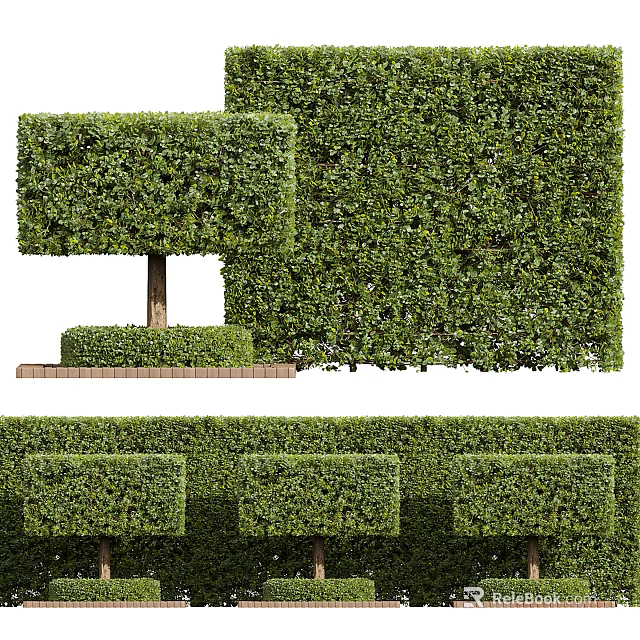 Well Trimmed Square Shaped Shrubs And Hedges In Garden Landscape Design 3d model 