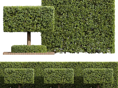 Well Trimmed Square Shaped Shrubs And Hedges In Garden Landscape Design 3d model