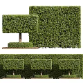 Well Trimmed Square Shaped Shrubs And Hedges In Garden Landscape Design
