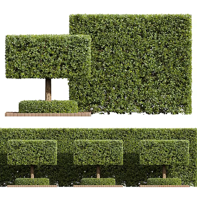 Well Trimmed Square Shaped Shrubs And Hedges In Garden Landscape Design 3d model