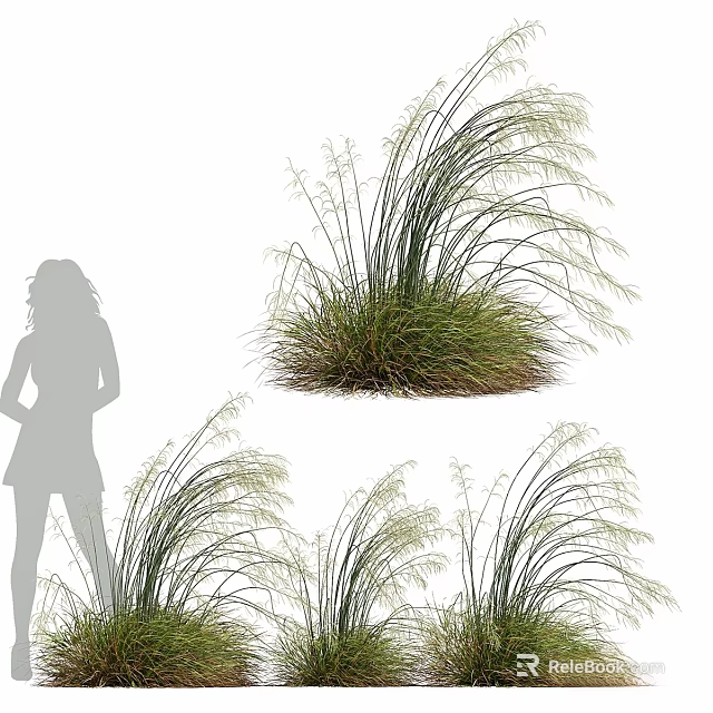 Decorative Ornament Set With Tall Grass Plants And Female Silhouette For Interior Decor 3d model 
