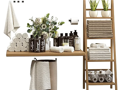 Organized Daily Washing Essentials With Folded Towels Green Plants On Wooden Shelf And Ladder Rack 3d model