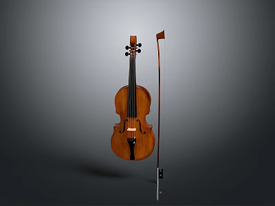Professional High Quality Wooden Violin With Bow And Musical Instrument Equipment 3d model