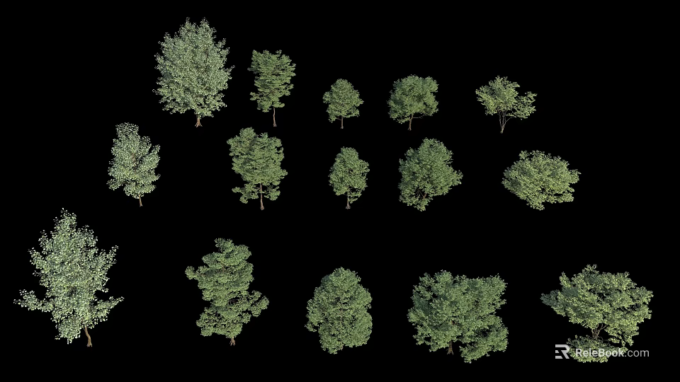 Arbor Trees With Various Types Different Sizes And Green Foliage For Landscape Design 3d model 