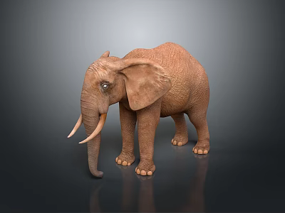 Realistic 3D Brown Elephant With Tusks Standing On Shiny Dark Floor 3d model