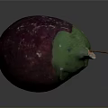 Anatomical Organ Structure Featuring Hair Follicles Purple Green And Brown Tissues