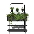 Black Metal Multi Tiered Shelf with Various Hanging and Trailing Potted Plants