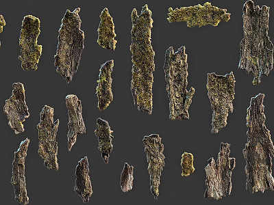Natural Stone Wood Pieces With Various Textures And Shapes On 3d model