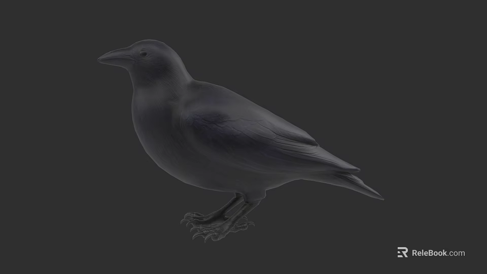 Gray Bird Standing On Dark Background With Detailed Feather Features 3d model 