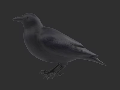 Gray Bird Standing On Dark Background With Detailed Feather Features 3d model