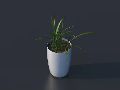 Bonsai Potted Plant with Green Leaves in White Ceramic Pot on Dark Surface 3d model