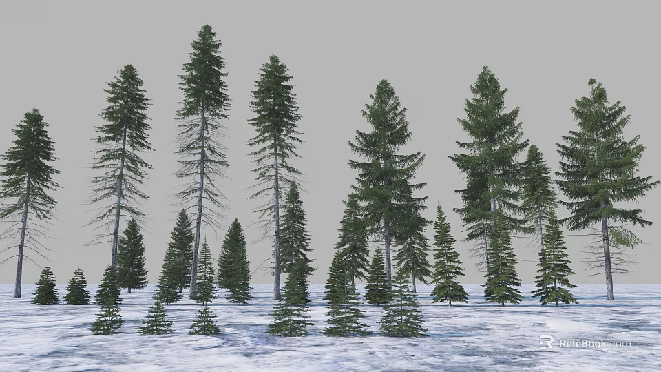 Tall And Small Pine Trees In Snowy Garden Landscape With Green Foliage 3d model 