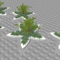 Tree Pit Design with Grass Shrubs and Geometric Paved Ground