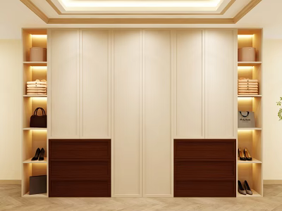 Modern Wardrobe Interior Design With Illuminated Side Shelves Storage Drawers And Beige Brown Finish 3d model