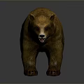Realistic Brown Bear Game Movie Character With Detailed Fur And Standing Stance