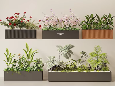 Stylish Plant Combinations In Modern Planters With Flowering And Foliage Plants 3d model