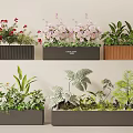 Stylish Plant Combinations In Modern Planters With Flowering And Foliage Plants
