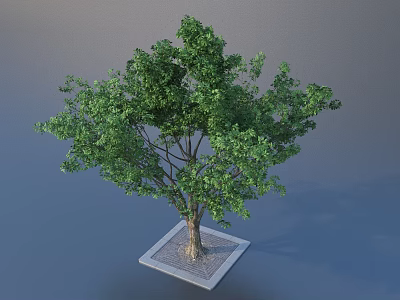 Ornamental Tree With Green Foliage And Brown Trunk On Square Concrete Base 3d model