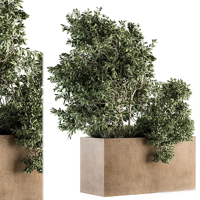 Lush Green Bonsai Potted Plants In Square Concrete Planters With Fresh Foliage 3d model