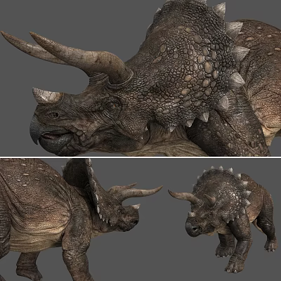 Modern Dinosaurs 3d model