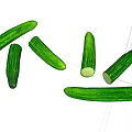 Modern Cucumber Vegetables 3d model