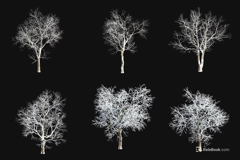 Six Leafless Trees With Clear Trunks And Branches On Black Background 3d model 