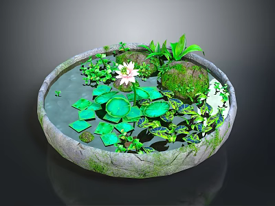 Natural Decorative Stone Basin With Green Lotus Leaves Pink Lotus Flower Stones And Green Plants 3d model