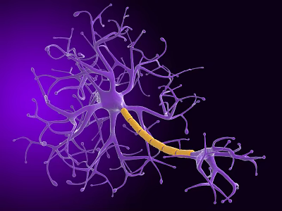 Medical Device 3D Neuron Model with Complex Branches and Yellow Axon for Neuroscience Research 3d model