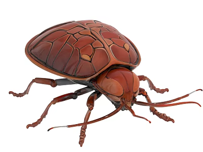 Detailed Brown Beetle With Large Shell And Intricate Texture Multiple Legs And Natural Exoskeleton Design 3d model
