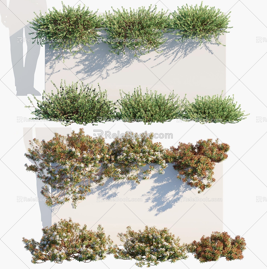 rockkorchid plant 3d model