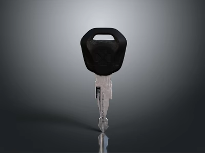 Durable Household Key With Black Handle And Transparent Teeth For Home Use 3d model
