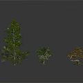 Various Types of Trees with Green and Red Leaves in Different Shapes on Grey Background