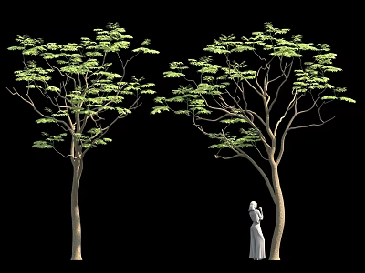 Person In White Dress Standing Beside Tree With Green Leaves On Black Background 3d model