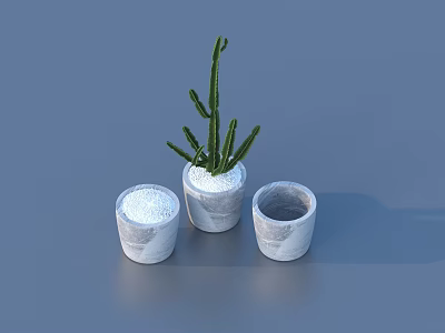 Green Cactus Potted Plant in Three Decorative Marble Texture Pots 3d model
