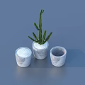 Green Cactus Potted Plant in Three Decorative Marble Texture Pots