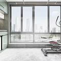 Modern Home Balcony with Washing Machine Treadmill and City View Through Large Windows