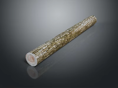 Garden Landscape Decorative Log With Natural Bark Texture And Smooth Cut Ends 3d model