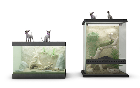 Fish tank 3d model